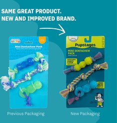 Pupstages Mini Dentachew Tough Dog Chew Toy, 3 count slide 2 of 7