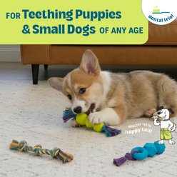Pupstages Mini Dentachew Tough Dog Chew Toy, 3 count slide 2 of 6