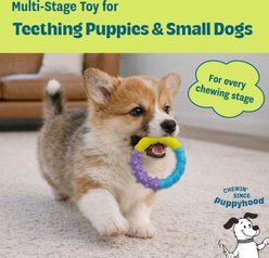 Pupstages Grow with Me Ring Tough Dog Chew Toy slide 2 of 6