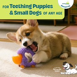 Pupstages Cutie Chewies Dog Toy slide 2 of 6