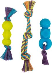 Pupstages Mini Dentachew Tough Dog Chew Toy, 3 count