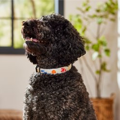 Frisco Coastal Sea Creature Ivory Dog Collar, L/XL: 18 to 26-in neck, 1-in wide slide 2 of 8