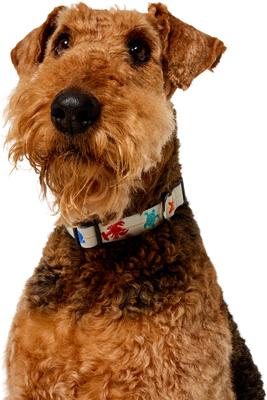 Show full view: Frisco Coastal Sea Creature Ivory Dog Collar, L/XL: 18 to 26-in neck, 1-in wide slide 3 of 9