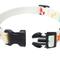Show in main carousel: Frisco Coastal Sea Creature Ivory Dog Collar, L/XL: 18 to 26-in neck, 1-in wide slide 2 of 9