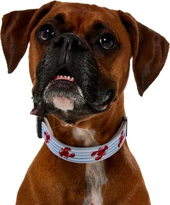 Show full view: Frisco Coastal Lobster Dog Collar, L/XL: 18 to 26-in neck, 1-in wide slide 3 of 9