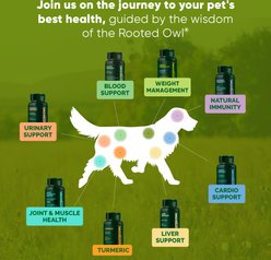 Rooted Owl Natural Liver Support Vegan Capsules Supplement with Milk Thistle for Dogs, 60 count slide 2 of 9