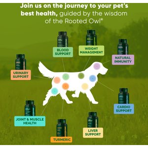 Rooted Owl Natural Cardio Support Capsules Supplement with L-Taurine & L-Carnitine for Dogs, 60 count