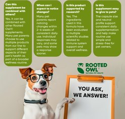 Rooted Owl Natural Immunity Vegan Capsules Supplement with Triple Mushroom Blend for Dogs & Cats, 60 count slide 2 of 9