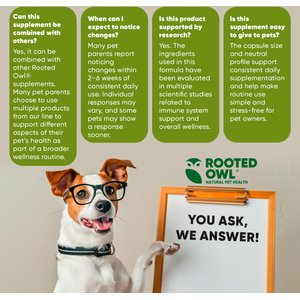 Rooted Owl Natural Immunity Vegan Capsules Supplement with Triple Mushroom Blend for Dogs & Cats, 60 count