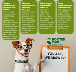 Rooted Owl Natural Blood Support Vegan Capsules Supplement with Spirulina & Chlorella for Dogs & Cats, 60 count slide 2 of 9