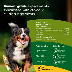 Rooted Owl Natural Immunity Vegan Capsules Supplement with Triple Mushroom Blend for Dogs & Cats, 60 count