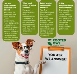 Rooted Owl Natural Turmeric Vegan Capsules Vitamin Supplement with Black Pepper for Dogs & Cats, 60 count slide 2 of 9