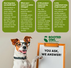 Rooted Owl Natural Joint & Muscle Health Capsules Supplement for Cats & Small Dogs with UC-II Collagen, 30 count slide 2 of 9