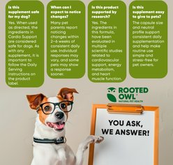Rooted Owl Natural Cardio Support Capsules Supplement with L-Taurine & L-Carnitine for Dogs, 60 count slide 2 of 9