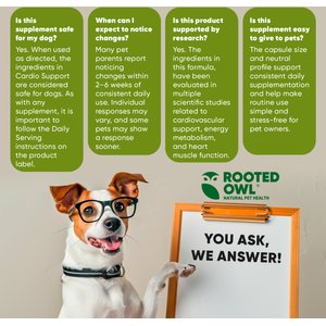 Rooted Owl Natural Cardio Support Capsules Supplement with L-Taurine & L-Carnitine for Dogs, 60 count