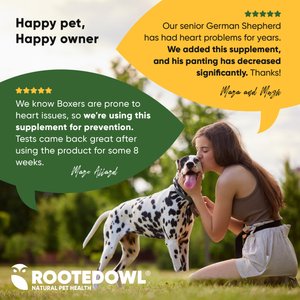 Rooted Owl Natural Cardio Support Capsules Supplement with L-Taurine & L-Carnitine for Dogs, 60 count