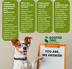 Rooted Owl Natural Urinary Support Vegan Capsules Supplement with Cranberry for Dogs, 60 count slide 2 of 9