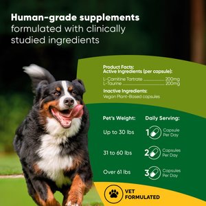 Rooted Owl Natural Cardio Support Capsules Supplement with L-Taurine & L-Carnitine for Dogs, 60 count