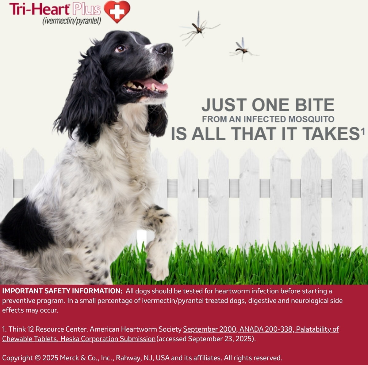 TRI-HEART PLUS Chewable Tablet for Dogs, 51-100 lbs, (Brown Box 