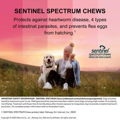 Show full view: Sentinel Spectrum Chew for Dogs, 2-8 lbs, (Orange Box), 6 Chews (6-mos. supply) slide 6 of 10