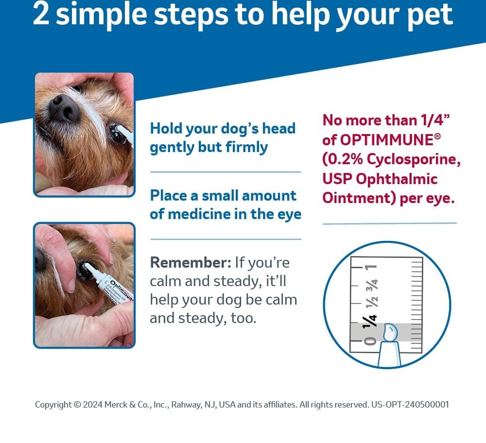 OPTIMMUNE (0.2% Cyclosporine) Ophthalmic Ointment for Dogs, 3.5-g - Easy Refills | Chewy Rx