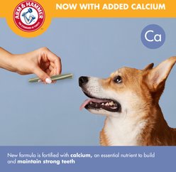 Arm & Hammer Products Smoothies Stick Shape Value Bucket Medium Mint Flavor Dental Dog Treats, 3.3-lb bag, 57 count slide 2 of 7