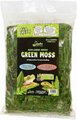 Snake Discovery Green Reptile Moss, 8-quart