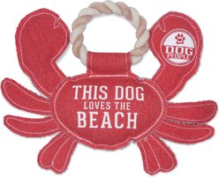 Pavilion Beach Dog Toy