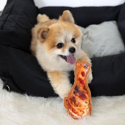 Pavilion Drumstick Canvas Dog Toy slide 2 of 3
