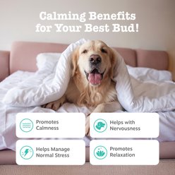 Zesty Paws Advanced Hemp Melatonin Calming Bites Turkey Flavored Soft Chews Composure Supplement for Dogs, 90 count slide 2 of 9