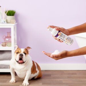 Nootie Soft Lilly Passion Waterless Foaming Formula Dog Shampoo, 7-fl oz bottle