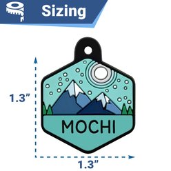 GoTags Hexagon Shaped Silent Silicone Personalized Dog & Cat ID Tag, Forest Lavender, Hexagon slide 2 of 6