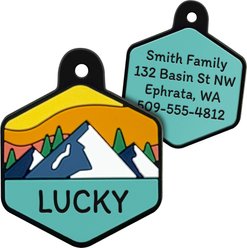 GoTags Hexagon Shaped Silent Silicone Personalized Dog & Cat ID Tag, Mountain Amber, Hexagon