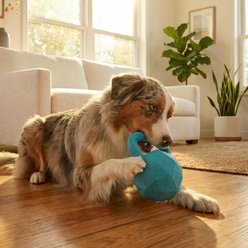 Pupstages Flex-Force Blueberry-Apple Scent Fetch & Herding Tug Handle Durable Floating Ball Dog Toy, Blue, Large: 6.6 x 4.8 x 4.5-in slide 2 of 6