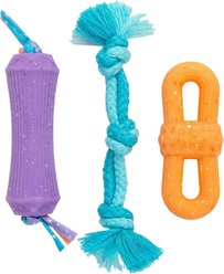 Pupstages Flex-Force Multi-Texture Gentle on Teeth Durable Chew Dog Toys, Multicolor, Small: 7.7-in, 3 count