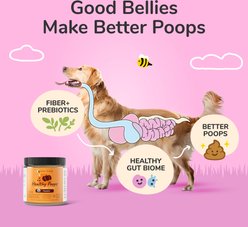 kin+kind Organic Healthy Poops Supplement for Dogs & Cats, 8-oz jar slide 2 of 8