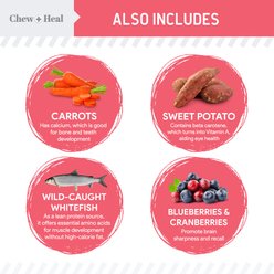 Chew + Heal Puppy Soft 'N Yummy Wild Alaskan Salmon Limited Ingredient Jerky Dog Treats, 12-oz bag slide 2 of 8