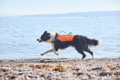 Non-stop Dogwear Protector Dog Life Jacket, Black/Orange, 6 slide 2 of 5