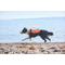 Show in main carousel: Non-stop Dogwear Protector Dog Life Jacket, Teal, 7 slide 4 of 4