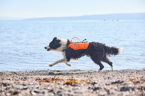 Show full view: Non-stop Dogwear Protector Dog Life Jacket, Teal, 7 slide 4 of 4