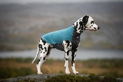 Non-stop Dogwear Trail Quest Fleece Pullover Dog Sweater, Teal, 70 slide 2 of 4