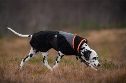 Non-stop Dogwear Trekking Fleece Dog Jacket, Black/Orange, 36 slide 2 of 3