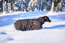 Non-stop Dogwear Trekking Insulated Dog Jacket, Black, 65 slide 2 of 3