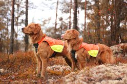 Non-stop Dogwear Protector Dog Vest, Orange, Medium slide 2 of 5
