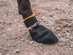 Non-stop Dogwear Protector Dog Bootie, Black/Orange, XX-Large slide 2 of 5