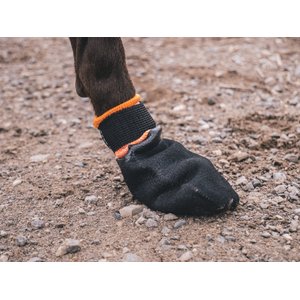 Non-stop Dogwear Protector Dog Bootie, Black/Orange, Medium