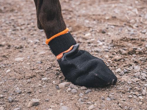 Show full view: Non-stop Dogwear Protector Dog Bootie, Black/Orange, X-Small slide 3 of 5