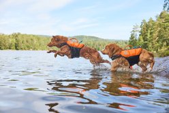 Non-stop Dogwear Protector Dog Life Jacket, Teal, 3 slide 2 of 4