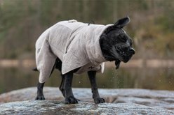 Non-stop Dogwear Drying Dog Coat, Sand, 55 slide 2 of 4