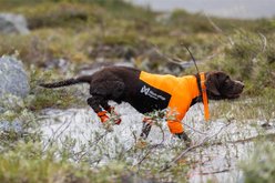 Non-stop Dogwear Protector Half Suit Dog Shirt, Orange, X-Large slide 2 of 3